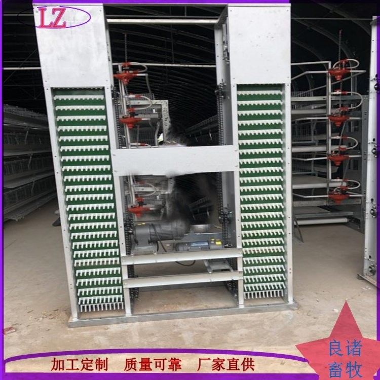 全自动养鸡设备 层叠式笼养设备 框架养鸡孵化设备 生产厂家图3