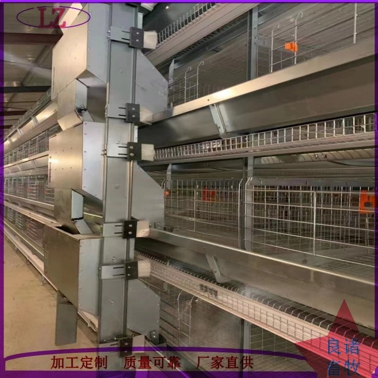 全自动养鸡设备 层叠式笼养设备 框架养鸡孵化设备 生产厂家图5
