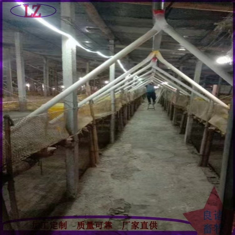 全自动养鸡设备 层叠式笼养设备 框架养鸡孵化设备 生产厂家图2