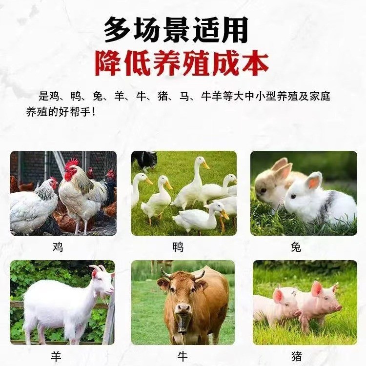 畜牧养殖饲料机 豆杆玉米饲料颗粒机大型秸杆牛羊颗粒饲料机400型图4