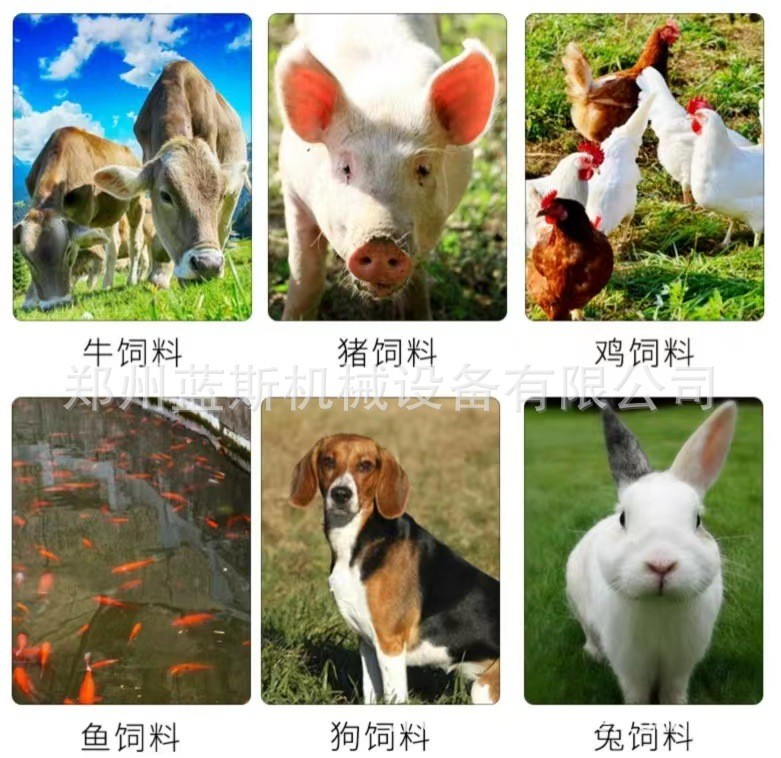 260型滚筒饲料颗粒机 中型养殖厂适用制粒机 鸡鸭鱼鹅猪牛羊饲料图3