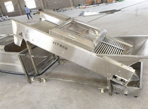 干果清洗提升喷淋机图3