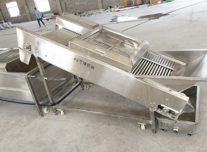 干果清洗提升喷淋机(图1) 干果清洗提升喷淋机(图1)