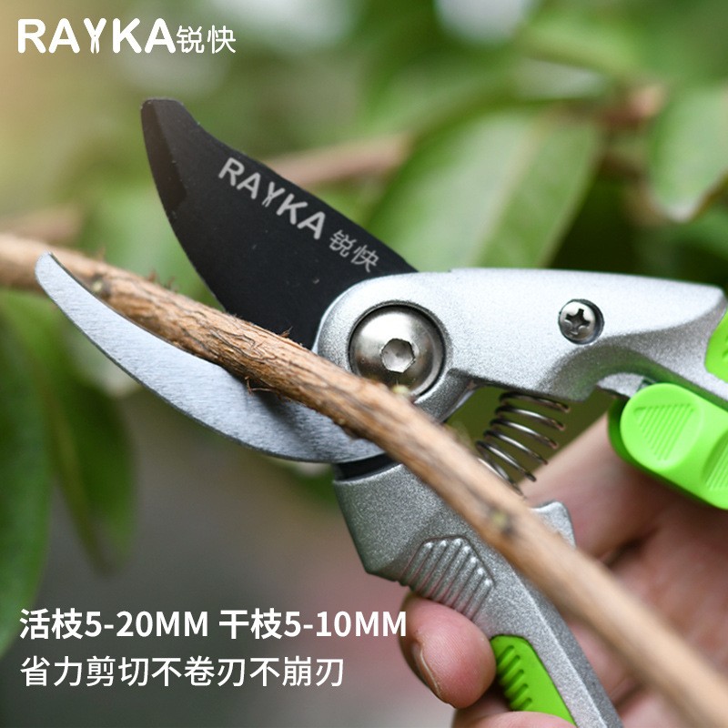 锐快修枝剪果树粗枝剪刀园艺花卉绿化嫁接专业树枝剪刀园林剪批发图2