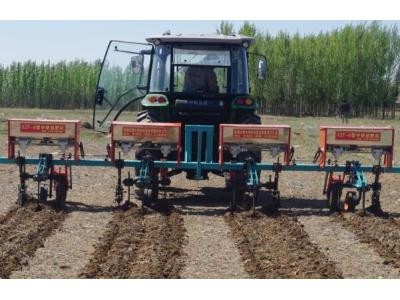 大博3ZF-6葵花中耕施肥机图2