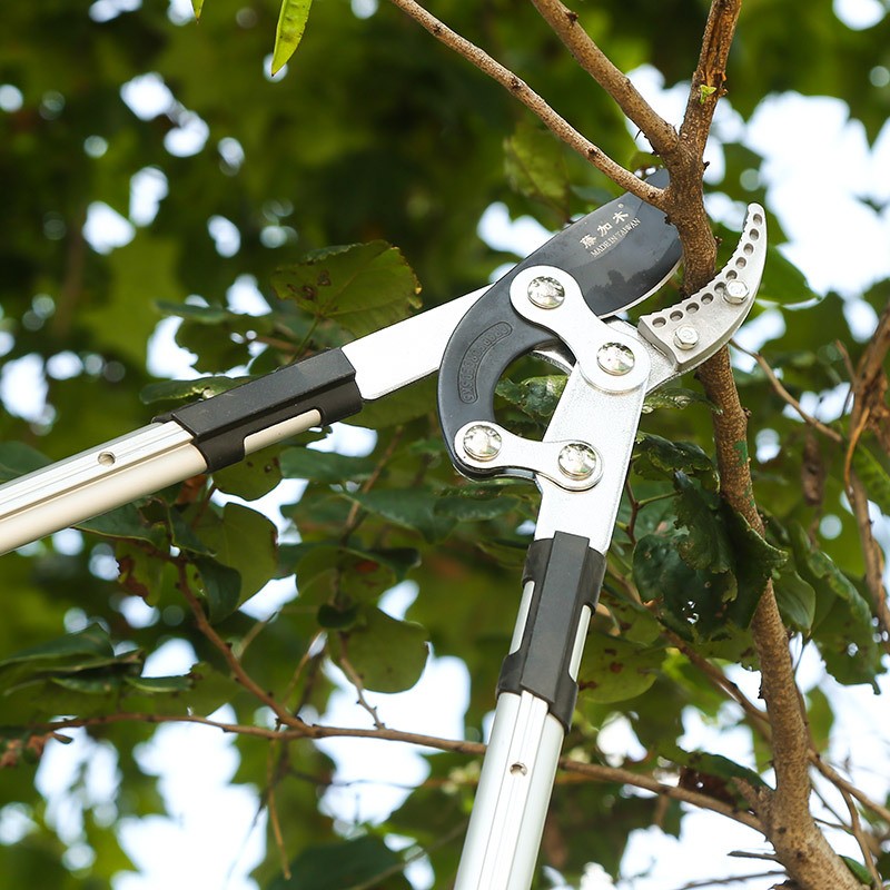 藤加木特氟龙剪刀果树园林园艺粗枝剪SK5大力剪铝柄伸缩剪修枝剪图2