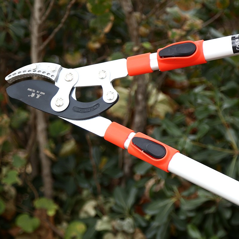 园林果枝剪SK-5钢伸缩长手柄粗枝剪园林大力剪多功能园 艺修枝剪刀图2