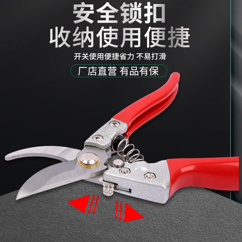 园艺SK5修枝剪果枝剪园林花枝剪果树修枝剪省力型嫁接摘果果枝剪图2
