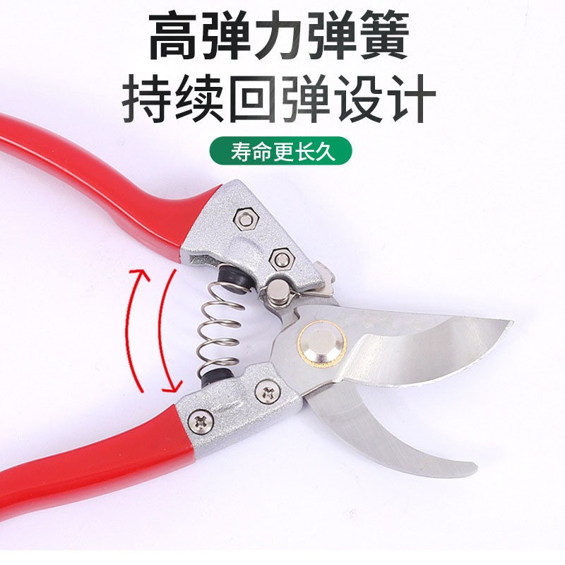园艺SK5修枝剪果枝剪园林花枝剪果树修枝剪省力型嫁接摘果果枝剪图4