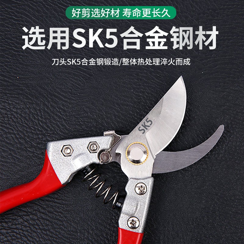 园艺SK5修枝剪果枝剪园林花枝剪果树修枝剪省力型嫁接摘果果枝剪图3