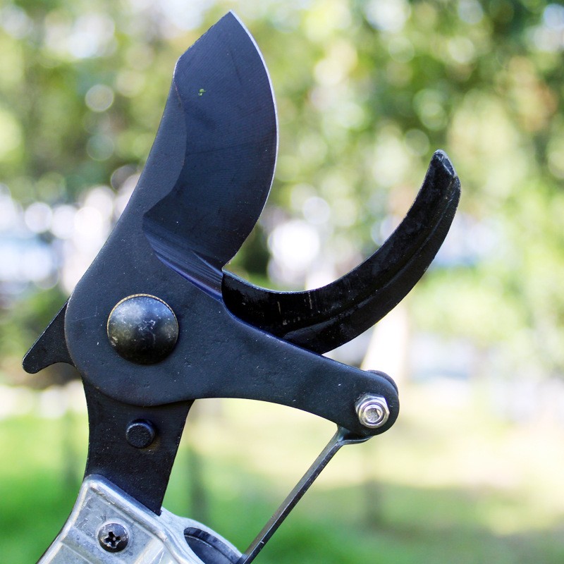 空粗枝剪1.8米伸缩2.4米 高枝剪树枝剪果枝剪高空剪绿化大力剪图3