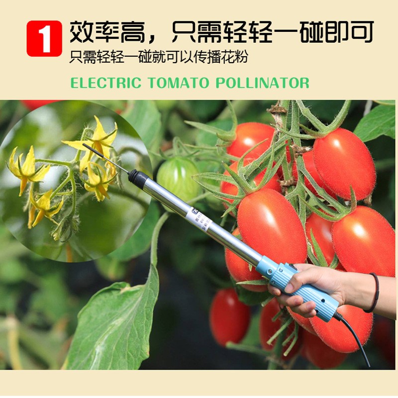 全新款大棚番茄授粉器点花机点花器 西红柿电动授粉器茄子授粉机图3
