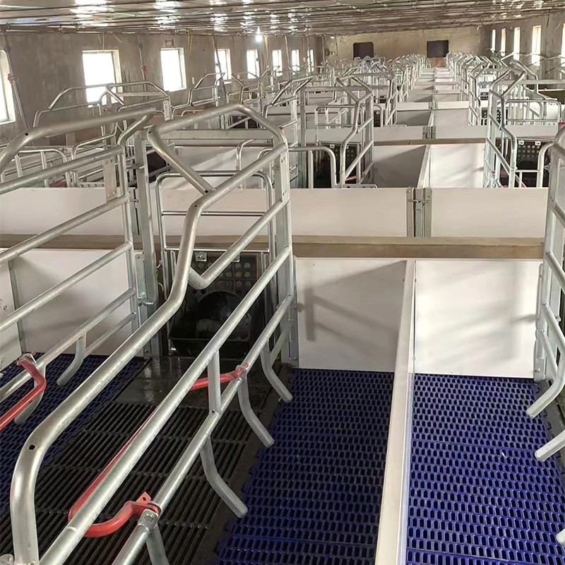 母猪产床 双体产保一体猪用分娩床 保育床 定位栏 养猪繁殖器具图3