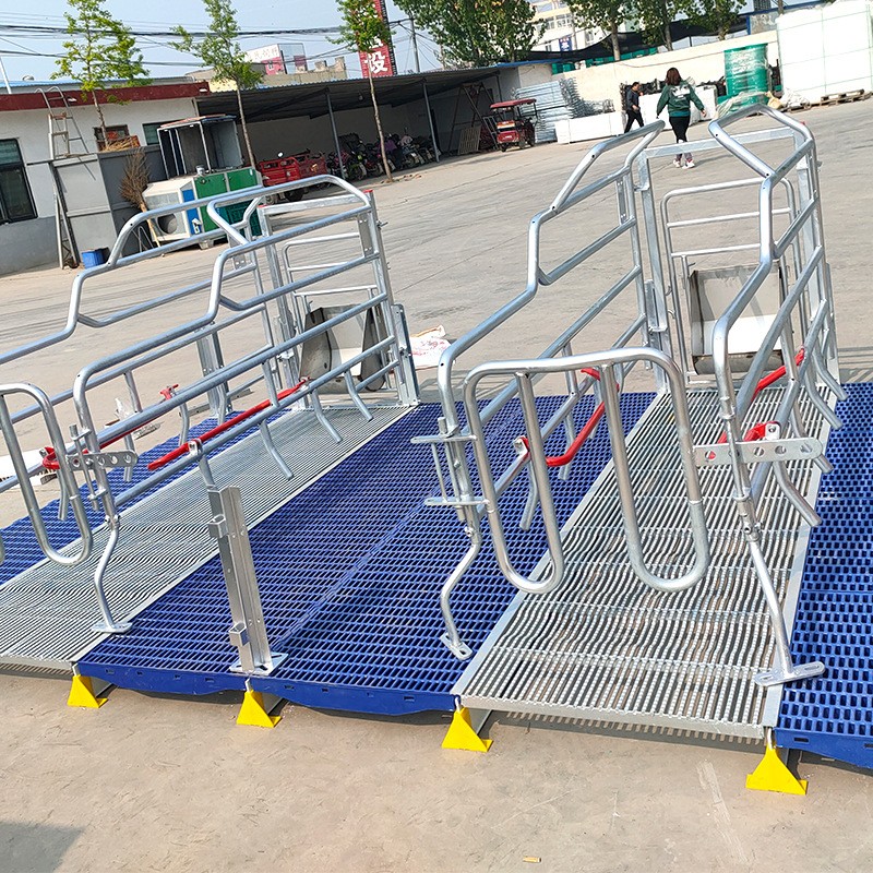 母猪产床 双体产保一体猪用分娩床 保育床 定位栏 养猪繁殖器具图4