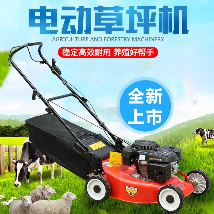 园林草坪修剪机 索普手推割草机 操作便捷 快速发货图4