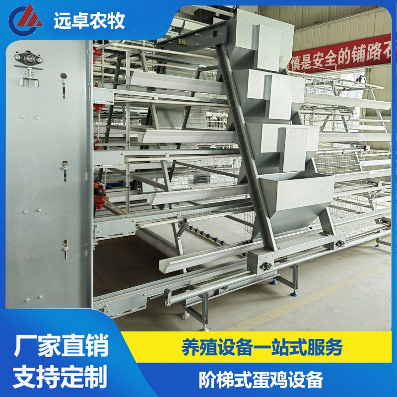 蛋鸡养殖自动化设备福建漳州四层阶梯立体蛋鸡 a型阶梯蛋鸡笼图2