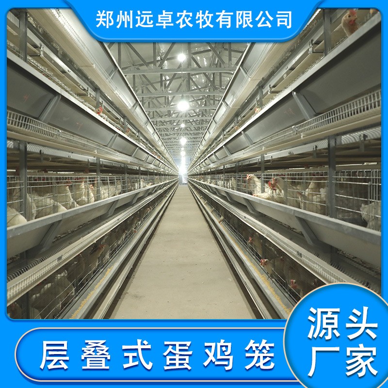 蛋鸡养殖自动化设备福建漳州四层阶梯立体蛋鸡 a型阶梯蛋鸡笼图3
