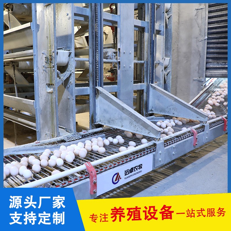 蛋鸡养殖自动化设备福建漳州四层阶梯立体蛋鸡 a型阶梯蛋鸡笼图5