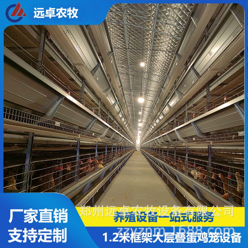 H型蛋鸭笼养殖设备 全自动捡蛋养鸡场新疆石河子四层叠立体蛋鸡笼图3