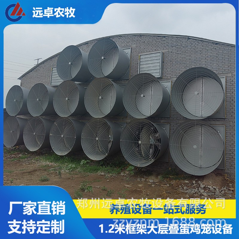 H型蛋鸭笼养殖设备 全自动捡蛋养鸡场新疆石河子四层叠立体蛋鸡笼图2