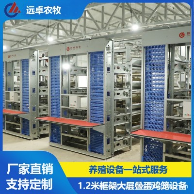 H型蛋鸭笼养殖设备 全自动捡蛋养鸡场新疆石河子四层叠立体蛋鸡笼