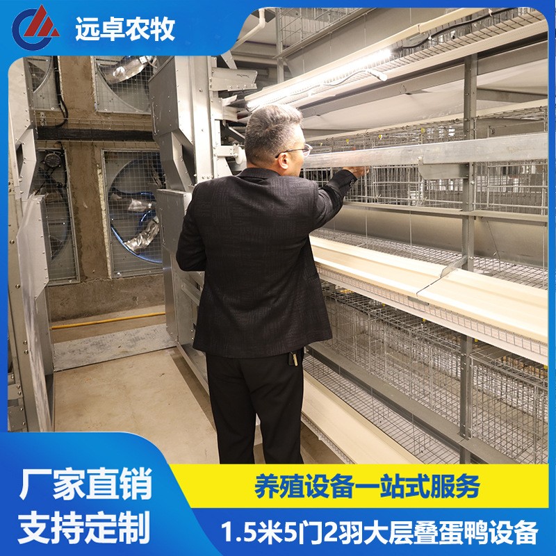 大层叠五列八层笼养鸭设备 江苏泰州四层H型框架式自动化蛋鸭笼养图3