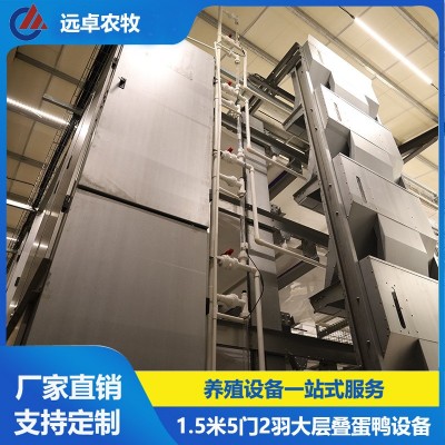大层叠五列八层笼养鸭设备 江苏泰州四层H型框架式自动化蛋鸭笼养