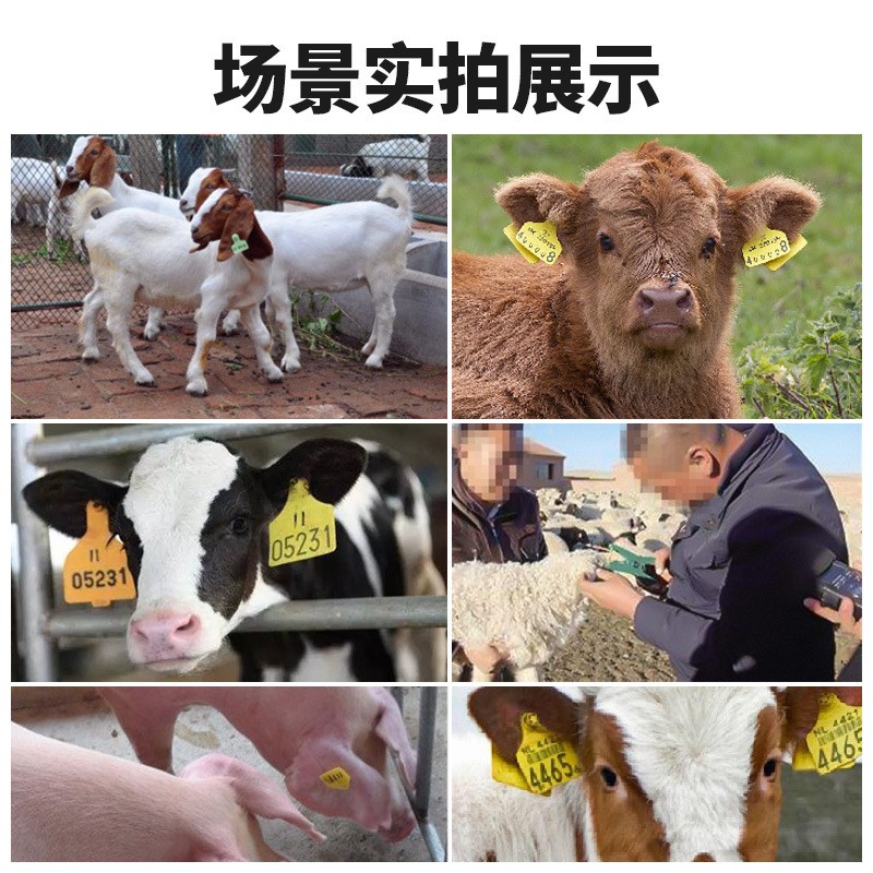 猪耳标钳猪用耳孔钳打耳钳猪牛羊兽用金属耳标钳垂直钳耳标钳兽用图4