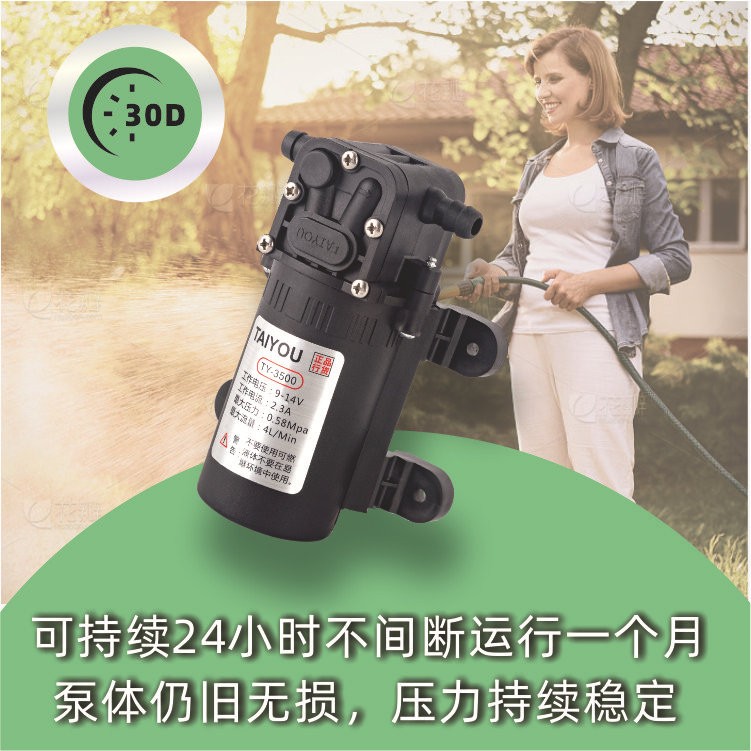 农用电动喷雾器水泵 电动喷雾器配件 12V内回流 高压大功率隔膜泵图3