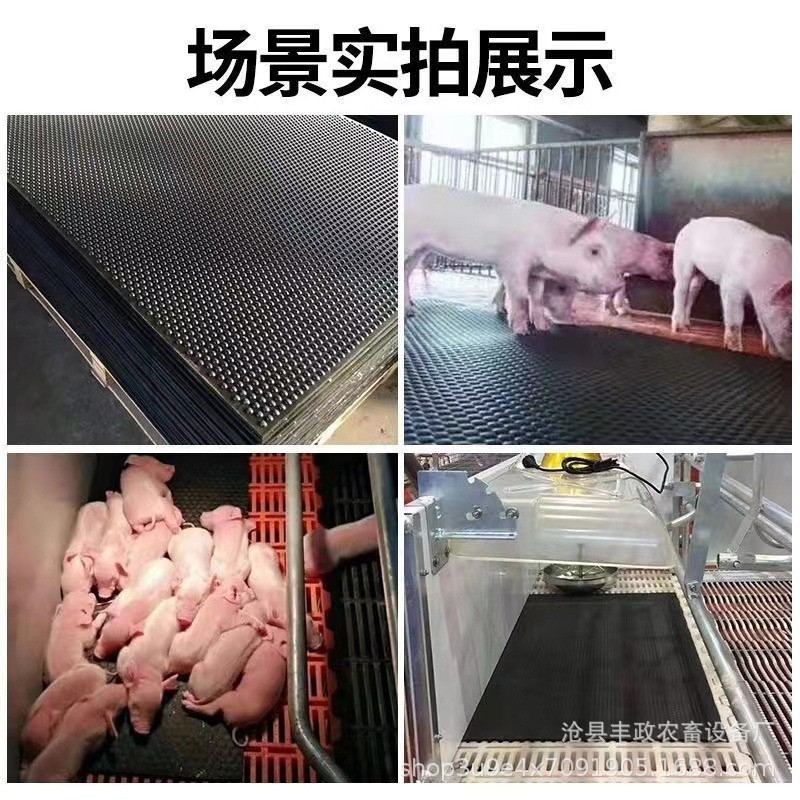 猪用新型加厚橡胶电热板 宠物兽用仔猪产床养殖设备加热 保温板图5