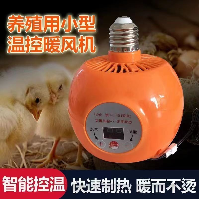 宠物暖风机保温灯养殖芦丁鸡取暖器蜜袋鼯鹦鹉温控加温加热保暖灯图2