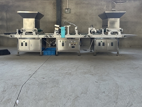 全自动育苗播种机相较于传统育苗方法的优势