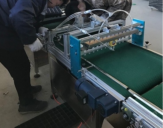 使用穴盘播种机脱盘和存放过程有哪些注意事项