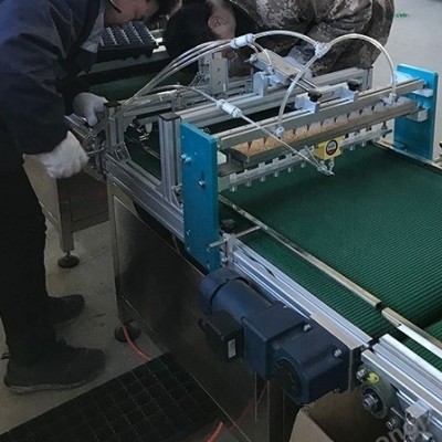 使用穴盘播种机脱盘和存放过程有哪些注意事项图5