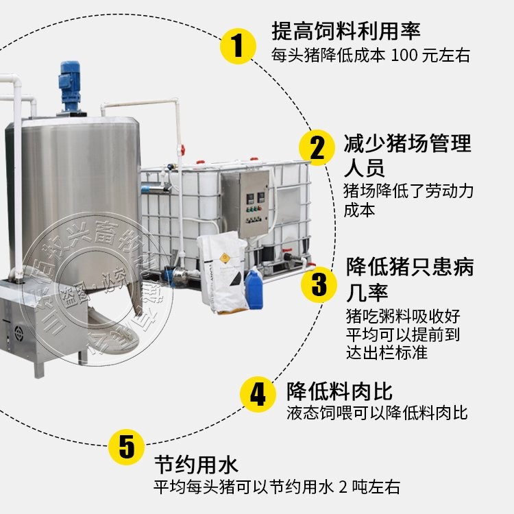 液态饲喂 佰牧兴液态料养猪设备 猪场粥料线 水料饲喂设备图4