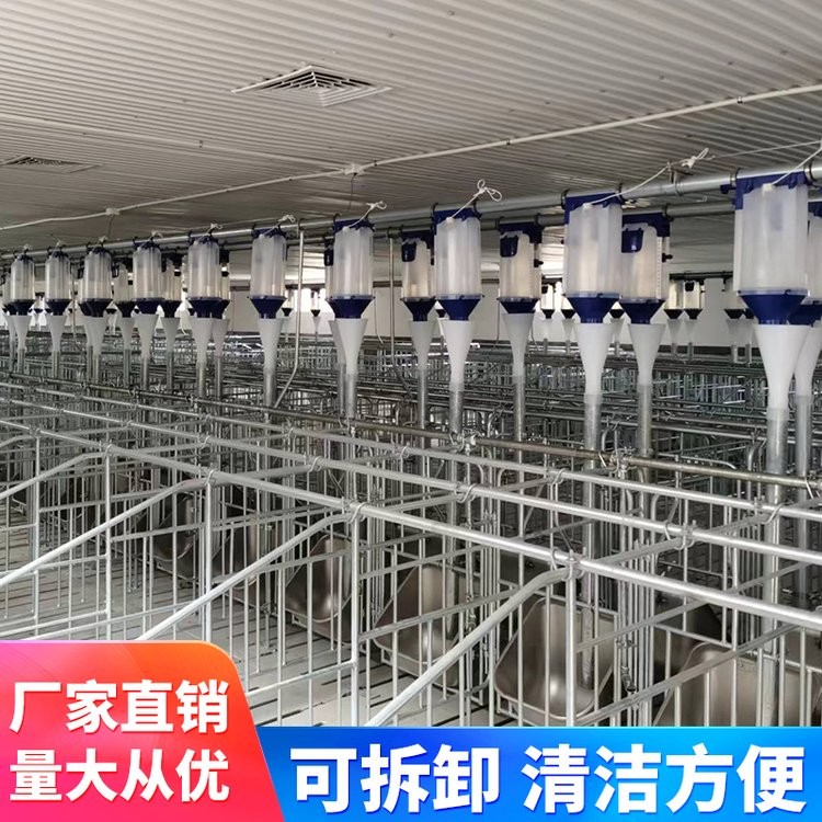 落地式复合板母猪限位栏 热镀锌加厚保育养殖猪用可定制图2