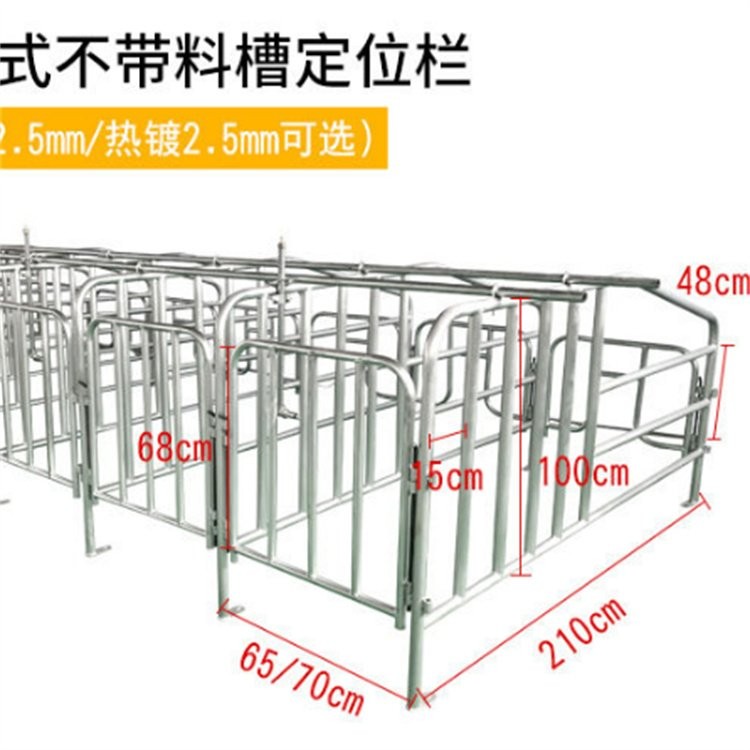 定制 母猪限位栏 加厚定位栏 养猪场育肥舍圈栏图4