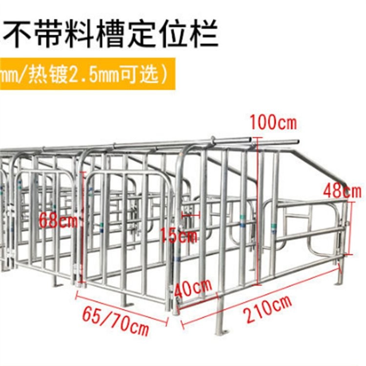 定制 母猪限位栏 加厚定位栏 养猪场育肥舍圈栏图3