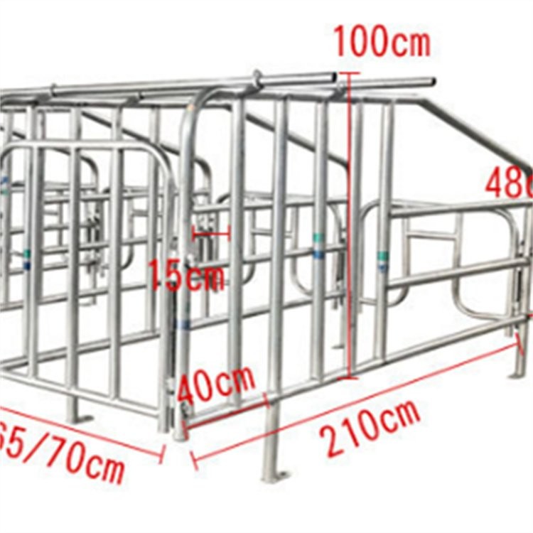 定制 母猪限位栏 加厚定位栏 养猪场育肥舍圈栏图2