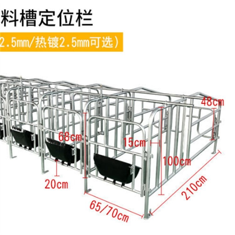 定制 母猪限位栏 加厚定位栏 养猪场育肥舍圈栏图5
