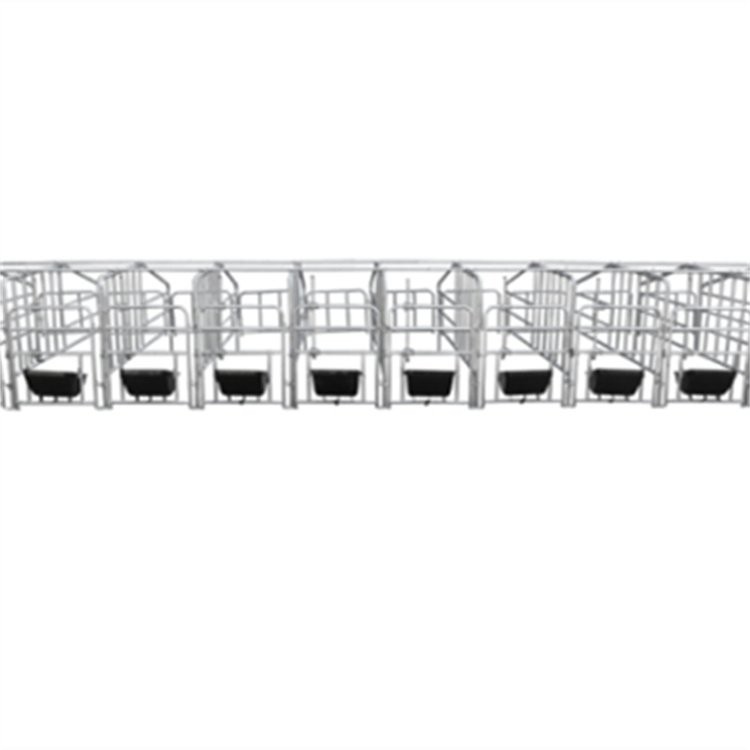 复合板限位栏 热镀锌母猪定位栏 落地式限位 栏图5