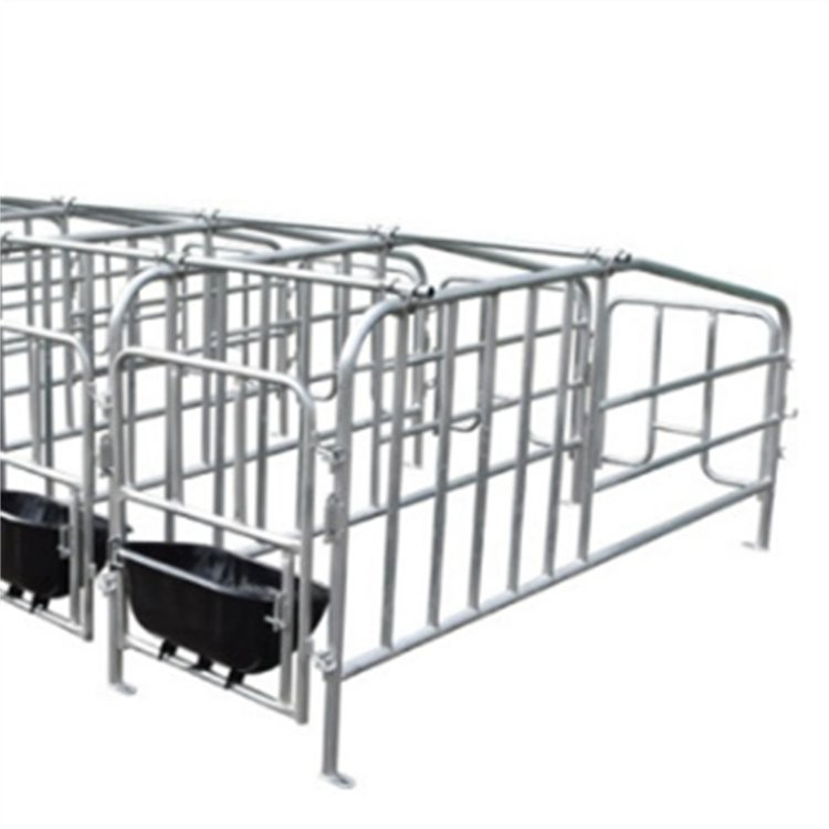 复合板限位栏 热镀锌母猪定位栏 落地式限位 栏图4