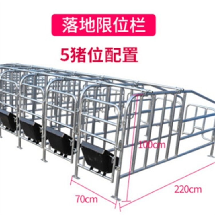 复合板限位栏 热镀锌母猪定位栏 落地式限位 栏图3
