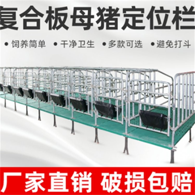 复合板限位栏 热镀锌母猪定位栏 落地式限位 栏图2