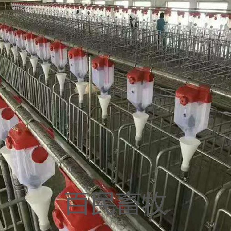 自动料线 料塔 养殖场喂料上料设备 镀锌板散装饲料塔 质量无忧图4