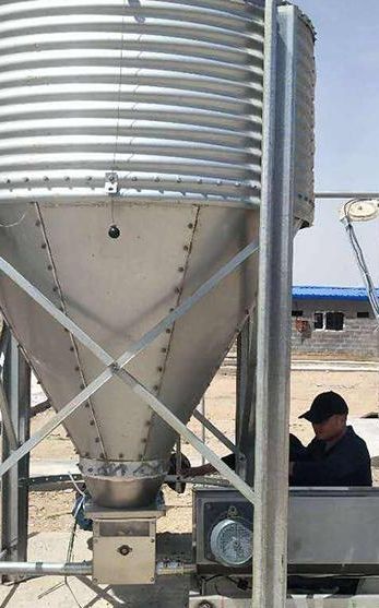 自动料线 料塔 养殖场喂料上料设备 镀锌板散装饲料塔 质量无忧图5