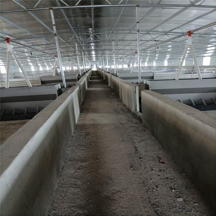 全自动养猪设备 智能化自动料线 百民畜牧猪场安装设计