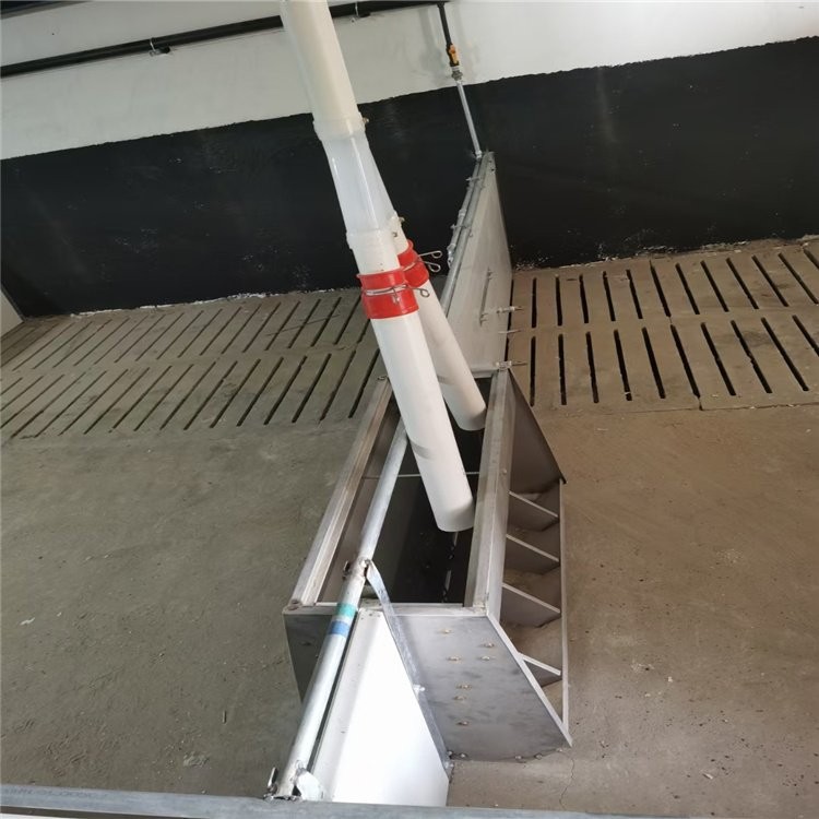 全自动养猪设备 智能化自动料线 百民畜牧猪场安装设计图4