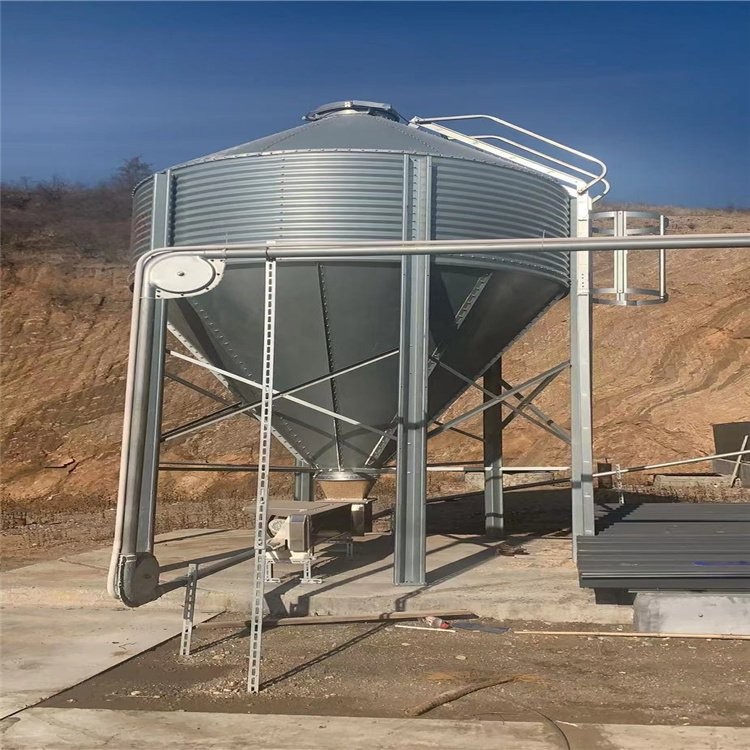 全自动养猪设备 智能化自动料线 百民畜牧猪场安装设计图2