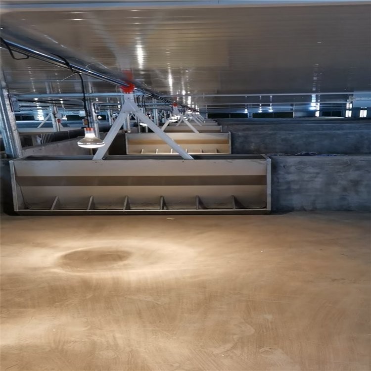 全自动养猪设备 智能化自动料线 百民畜牧猪场安装设计图3